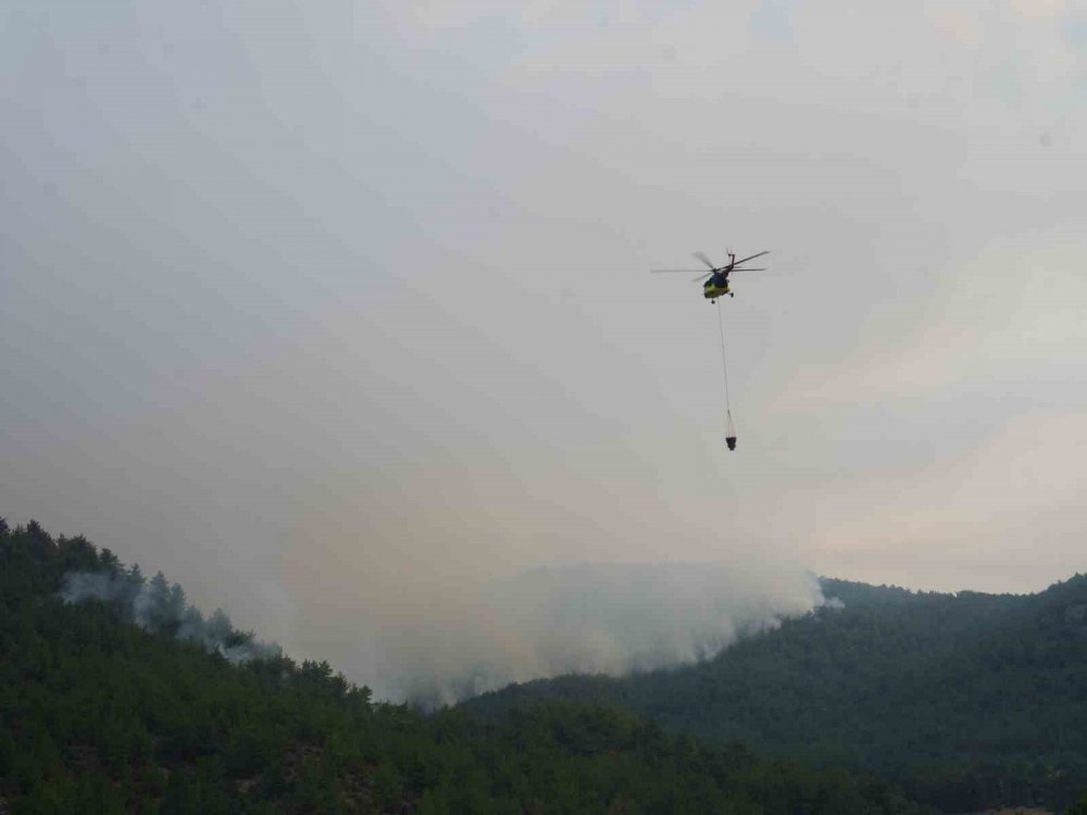 Kastamonu Orman Yangınları Üçüncü Gününde