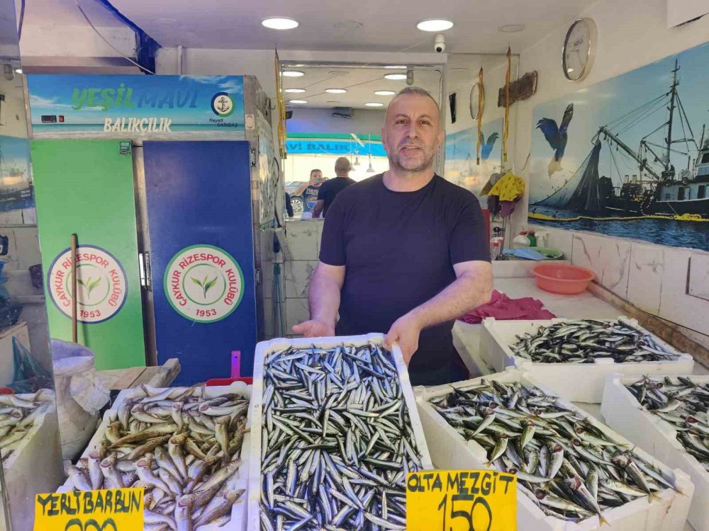 Hamsi Rize’de Tezgaha Düştü