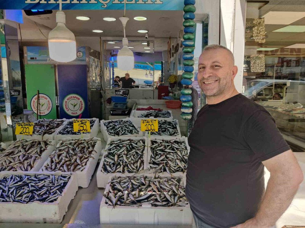 Hamsi Rize’de Tezgaha Düştü