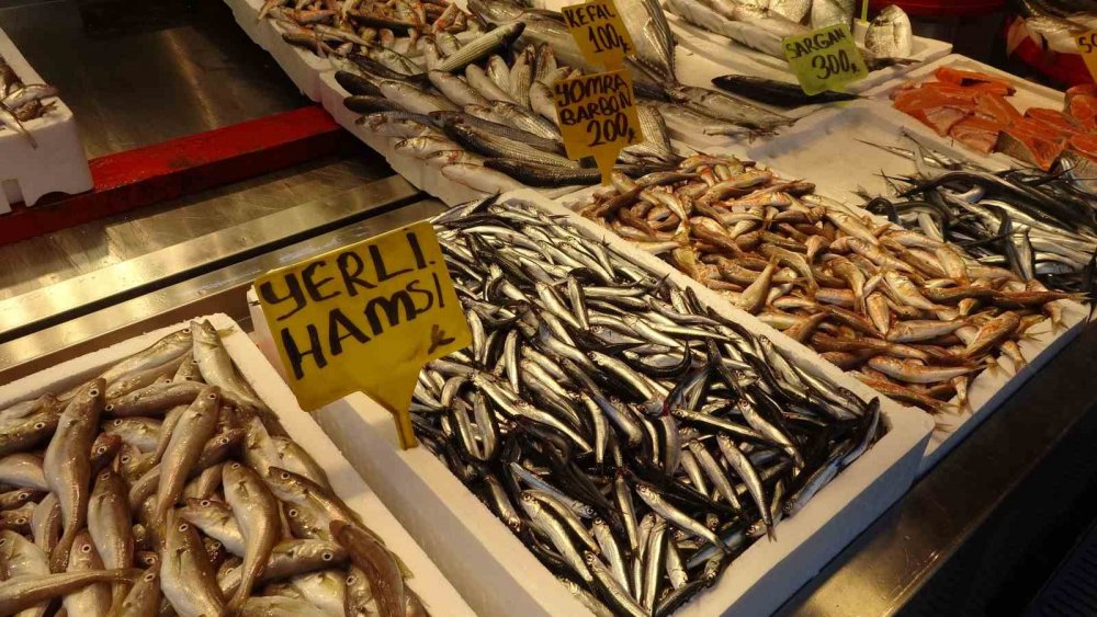 Hamsiyi Tezgahta Erken Gören Balıkçı Sevinsin Mi Üzülsün Mü Bilemedi