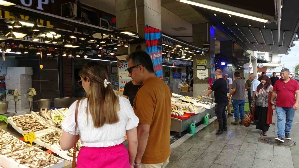 Balıkçı Palamuttan Umudunu Kesti, Hamsi Ve İstavrit İle Teselli Buluyor