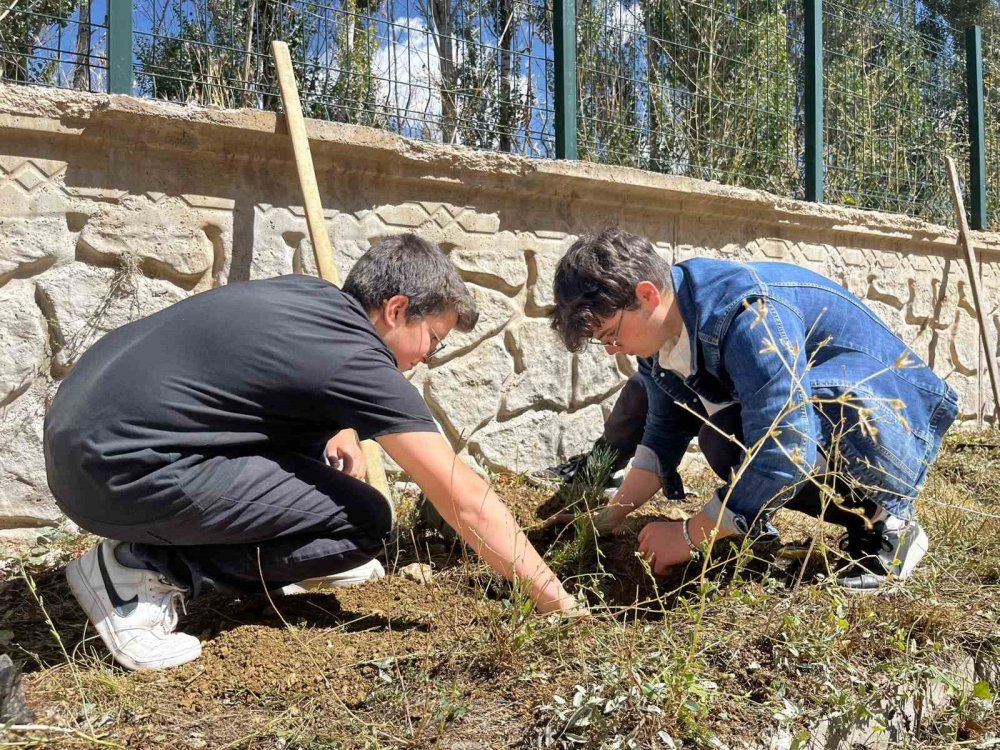Bayburt’ta Öğrenciler Fidanları Toprakla Buluşturup ‘yeşil Vatan’ İçin Geleceğe Nefes Oldular