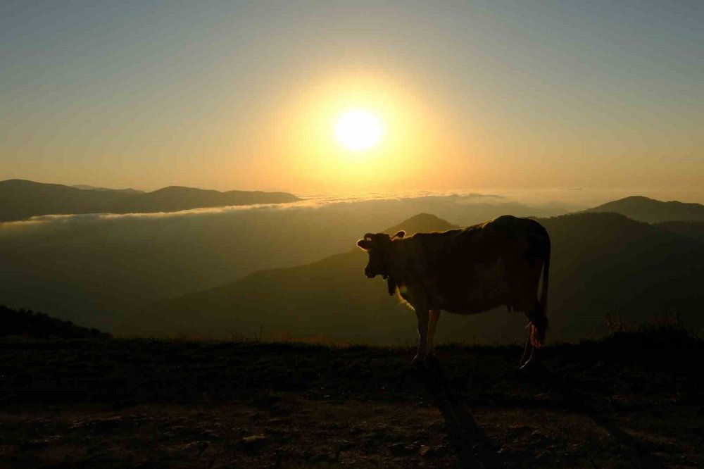 Gümüşhane’nin Gizli Cenneti Çetlüce Yaylası’nda Sis Denizi Manzarası