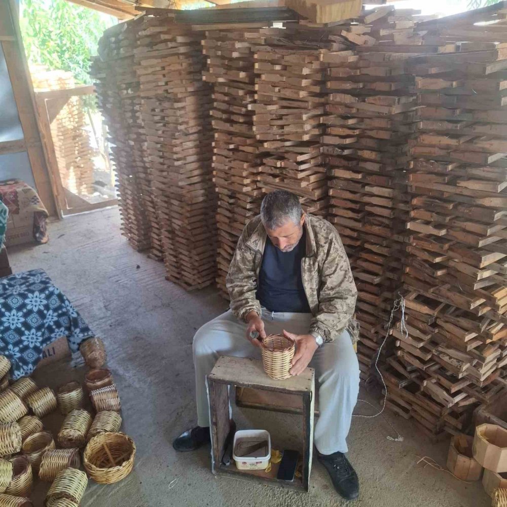 Erzurum’un Çat İlçesinde Arıcıların Ayı Nöbeti