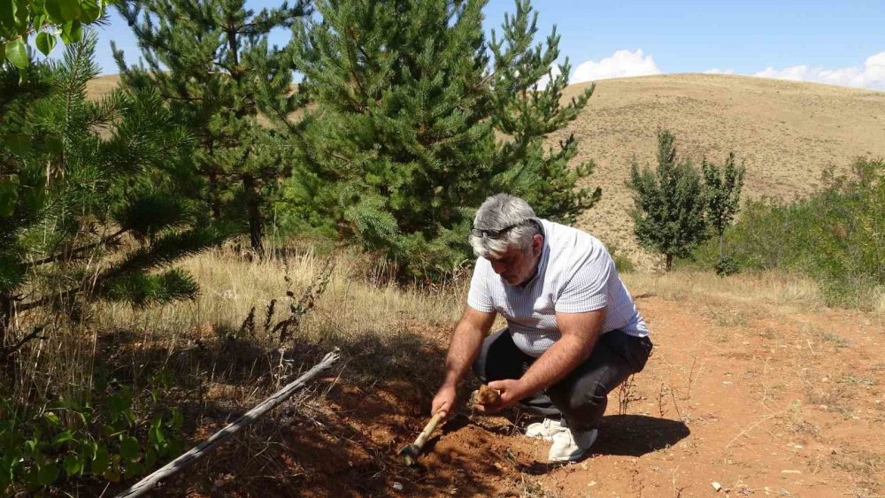 Bayburt’ta Kehribarın Zorlu Mesaisi: Topraktan Çıkarılan Fosilleşmiş Ağaç Reçinesi Takı Ve Tespihe Dönüştürülüyor