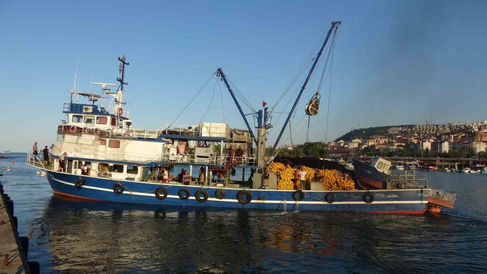 Balıkçılarda Erken Gelen Hamsinin Türk Karasularını Erken Terk Edeceği Endişesi