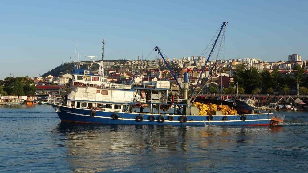 Balıkçılarda Erken Gelen Hamsinin Türk Karasularını Erken Terk Edeceği Endişesi