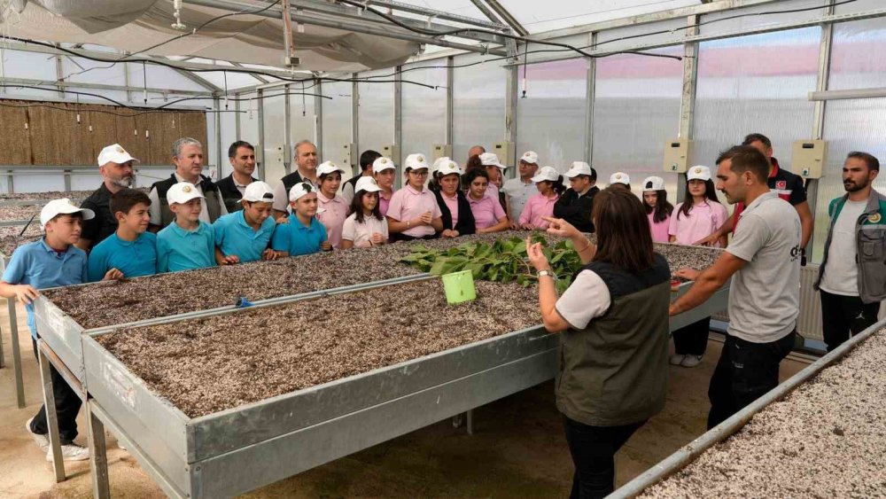 Artvin’de Öğrencilere Fidan Üretimi Anlatıldı