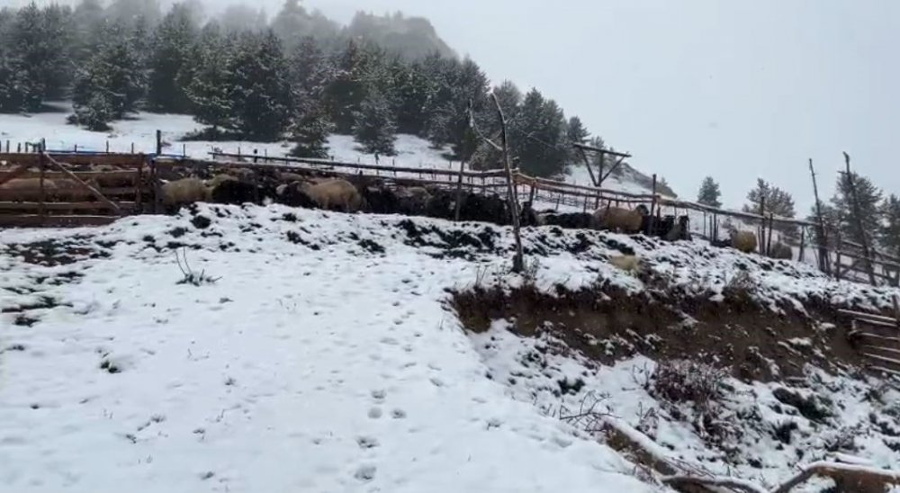 Artvin’de Yaylalar Kar Altında