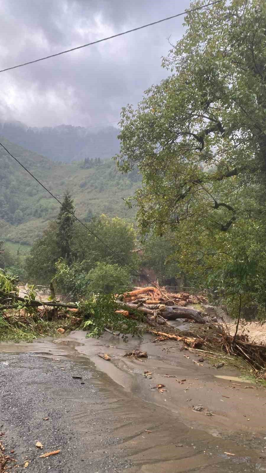 Artvin’de Sağanak Yağış Sele Neden Oldu