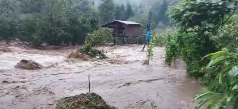 Artvin’de Sağanak Yağış Sele Neden Oldu