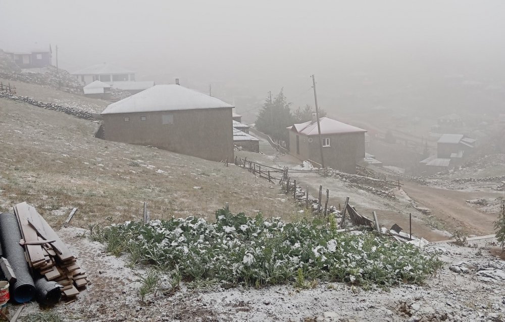 Doğu Karadeniz’in Sahili Ve İç Kesimlerindeki Şiddetli Yağış Yerini Zirvelerde Kara Bıraktı