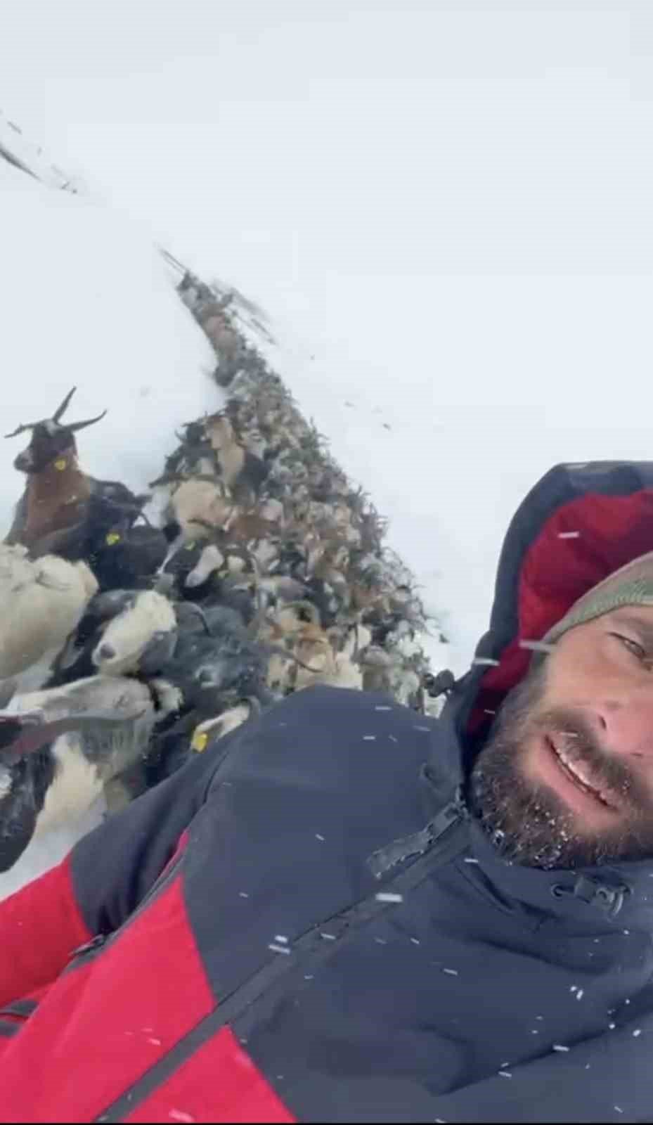 Rize’de Kar Nedeniyle Avusor Yaylası’nda Mahsur Kalan 500 Küçükbaş Hayvan Kurtarıldı