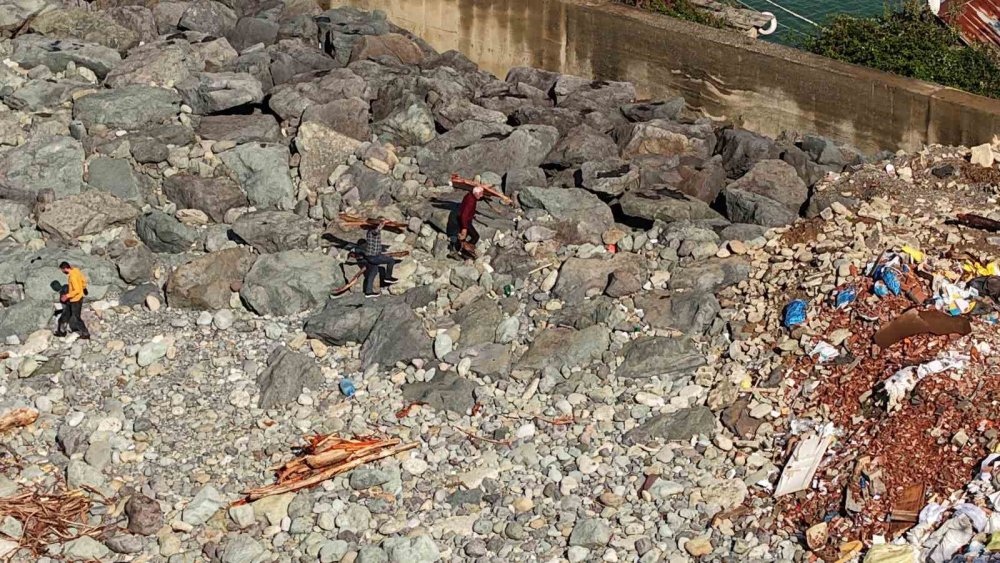 Rize’de Derelerin Taşıdığı Odunlar Vatandaşların Kışlık Yakacağı Oldu
