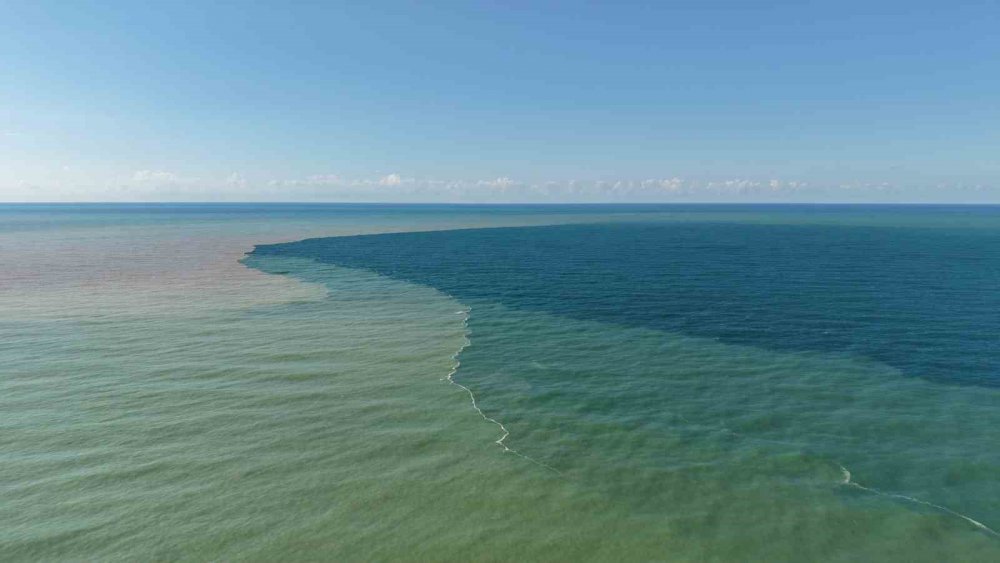 Rize’de Derelerin Taşıdığı Odunlar Vatandaşların Kışlık Yakacağı Oldu