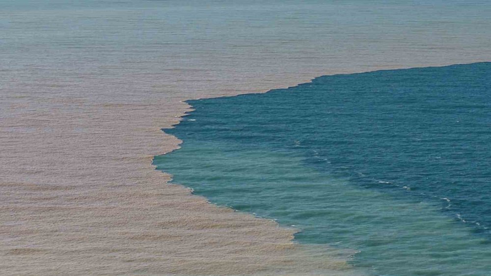 Rize’de Derelerin Taşıdığı Odunlar Vatandaşların Kışlık Yakacağı Oldu