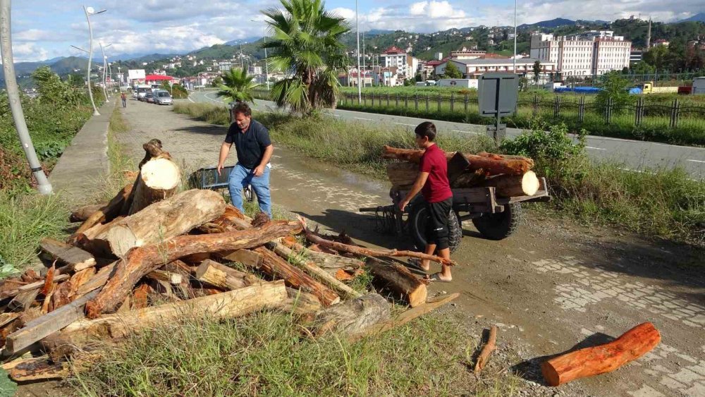 Rize’de Derelerin Taşıdığı Odunlar Vatandaşların Kışlık Yakacağı Oldu