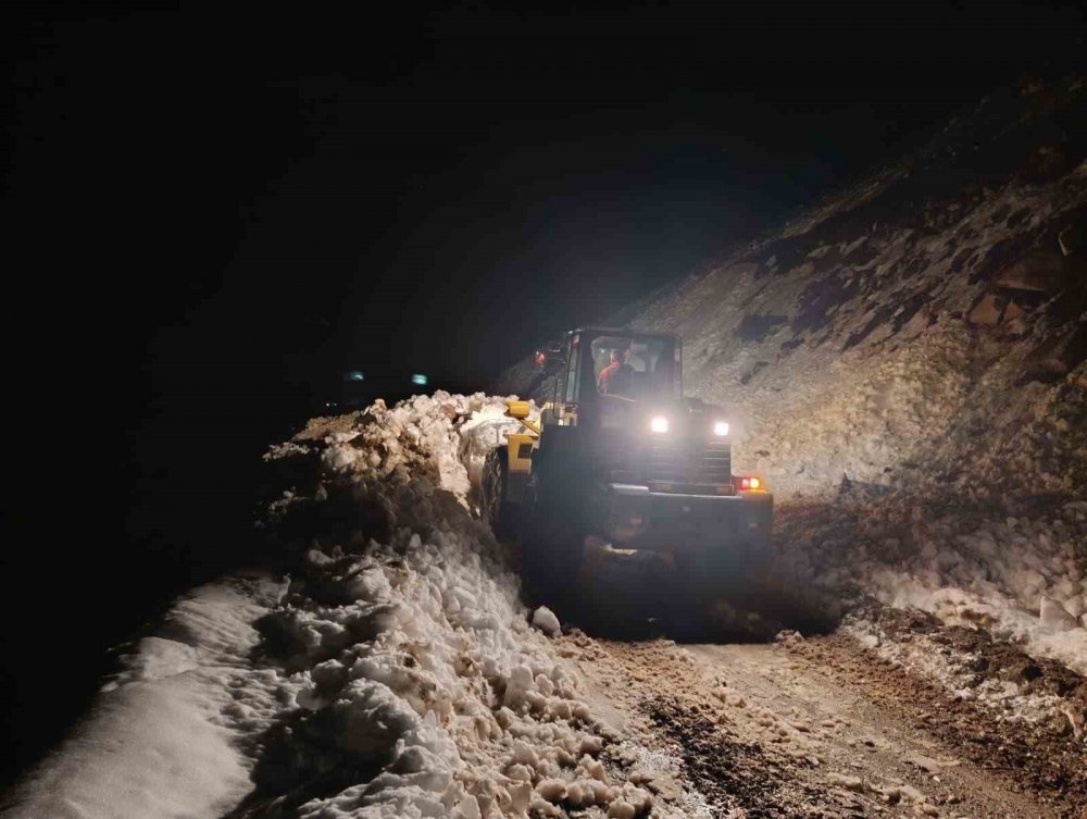 Çamlıhemşin Tirovit Yaylası’nda Çığ: 15 Kişi ve 8 Hayvan Kurtarıldı