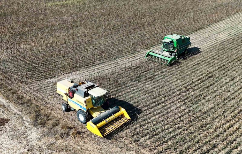 Bolu’da 23 Bin 500 Dekarda Ayçiçek Hasadı Başladı