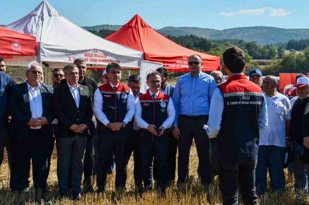 Bolu’da 23 Bin 500 Dekarda Ayçiçek Hasadı Başladı