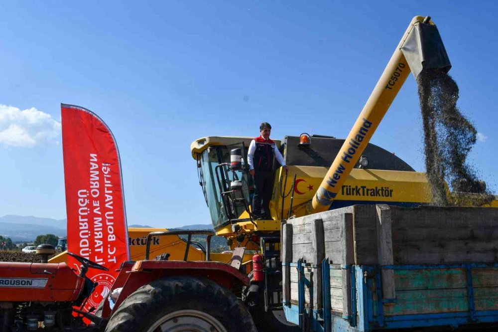Bolu’da 23 Bin 500 Dekarda Ayçiçek Hasadı Başladı
