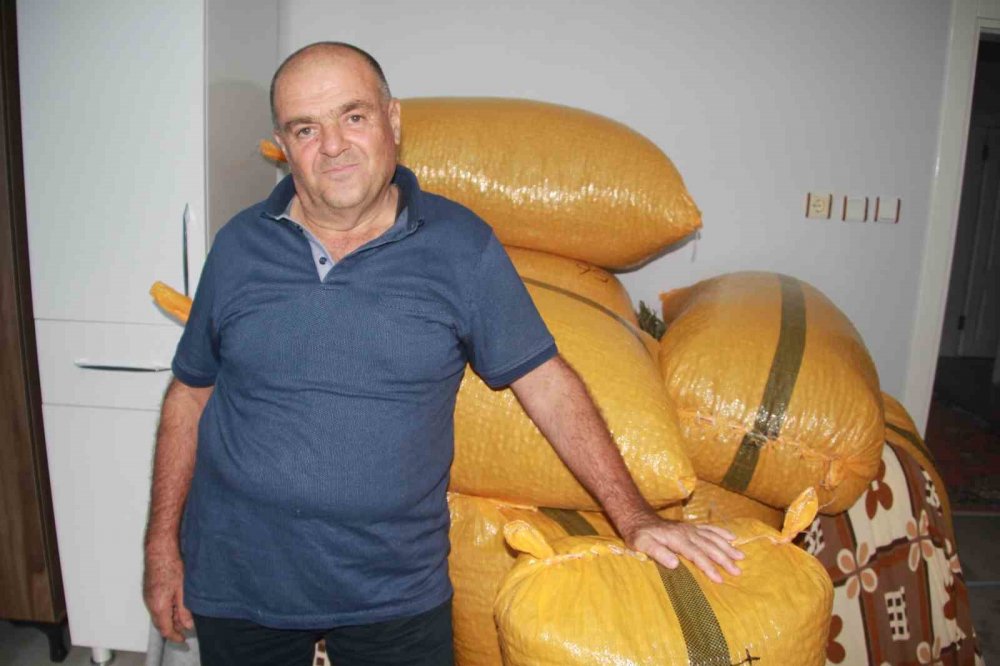 Fındık Üreticileri Mahsullerini Evde Depoluyor: Beklenti 500 Lira