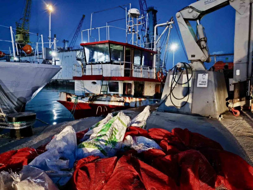 Kastamonu’da Kaçak Avlanan 142 Kalkan Balığına El Konuldu