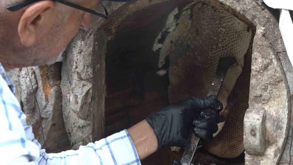 Rize’de Karakovan Balı Anzer’i Solladı