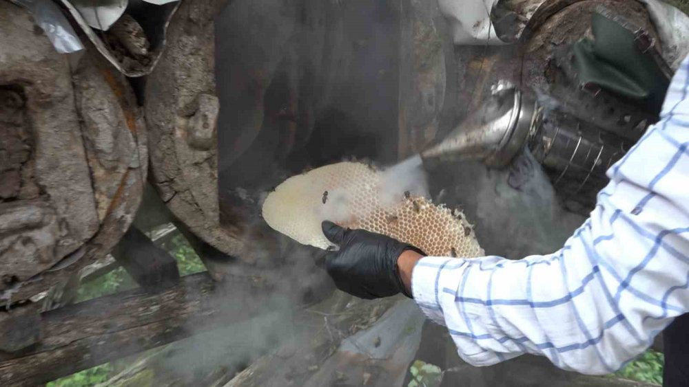 Rize’de Karakovan Balı Anzer’i Solladı