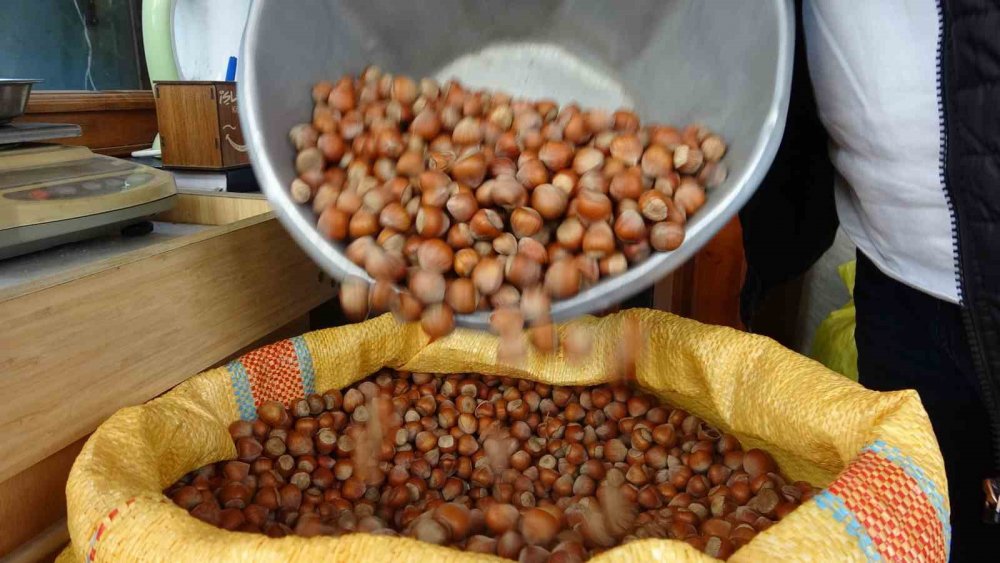 Giresun Fındığı Zirvede: Kilosu 352 Tl’ye Ulaştı