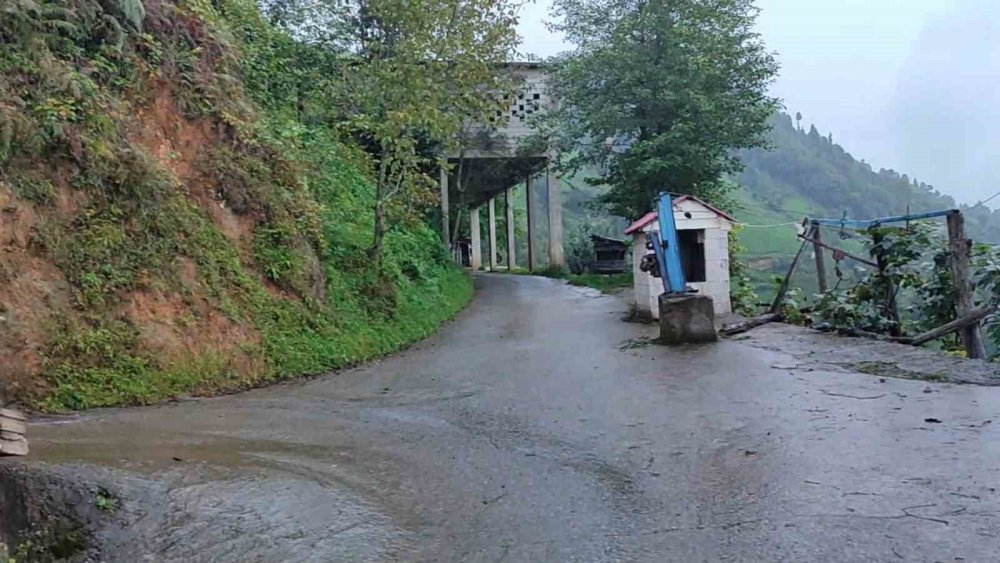 Rize’de Yolun Üzerine Yapılan Çay Alım Yeri İlgi Çekti