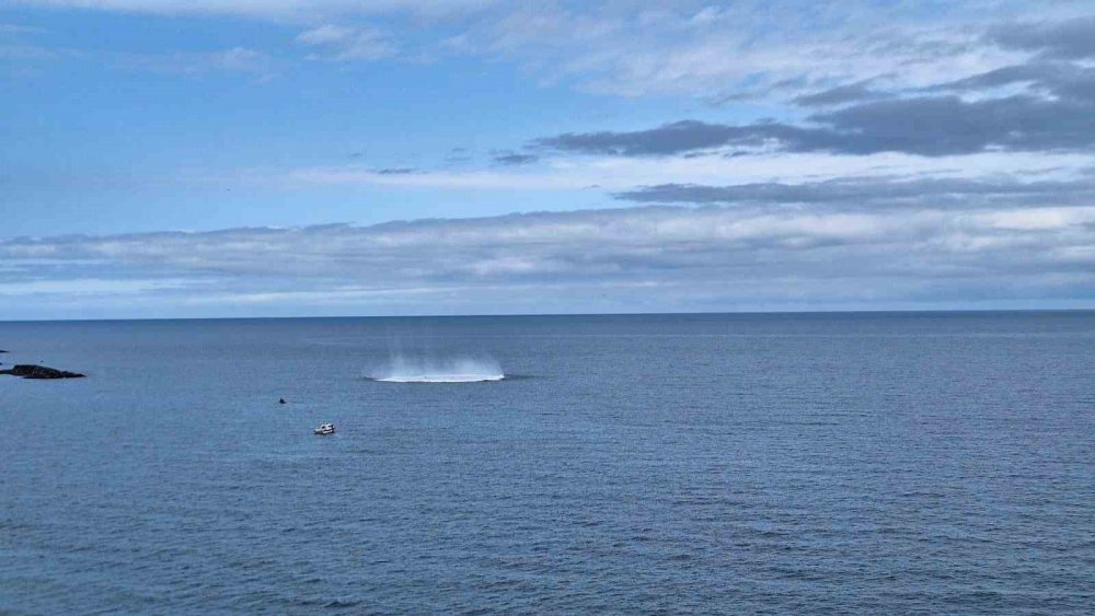 Rusya-ukrayna Savaşının Etkileri Karadeniz’de Tehlike Oluşturuyor