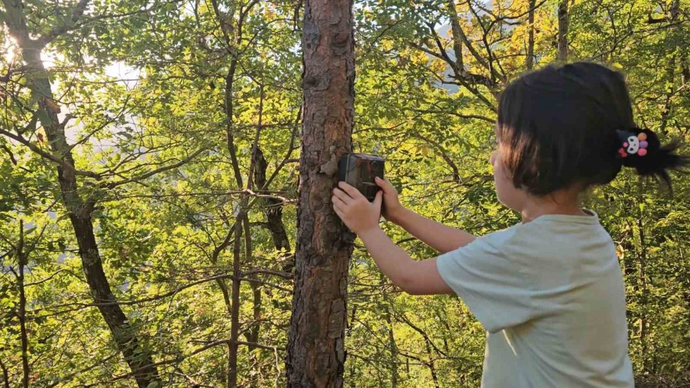 5 Yaşındaki Bensu, Fotokapanla Yaban Hayatını Görüntülüyor