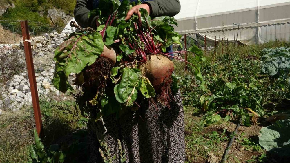 Giresun’da Kadınlar Geleneksel Yöntemlerle Kışlık Yiyeceklerini Hazırlıyor