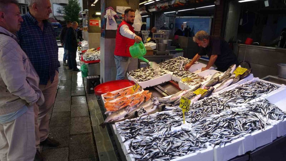 Balıkçılardan "patlatılan İnsansız Deniz Araçları Hamsiyi Kaçırttı" İddiası