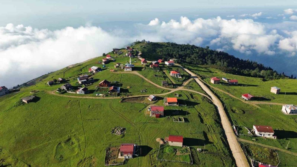 Büyük Harman Yaylası’ndan Sis Denizi Manzaraları