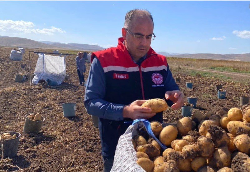 Bayburt’ta Patates Hasadına Başlandı