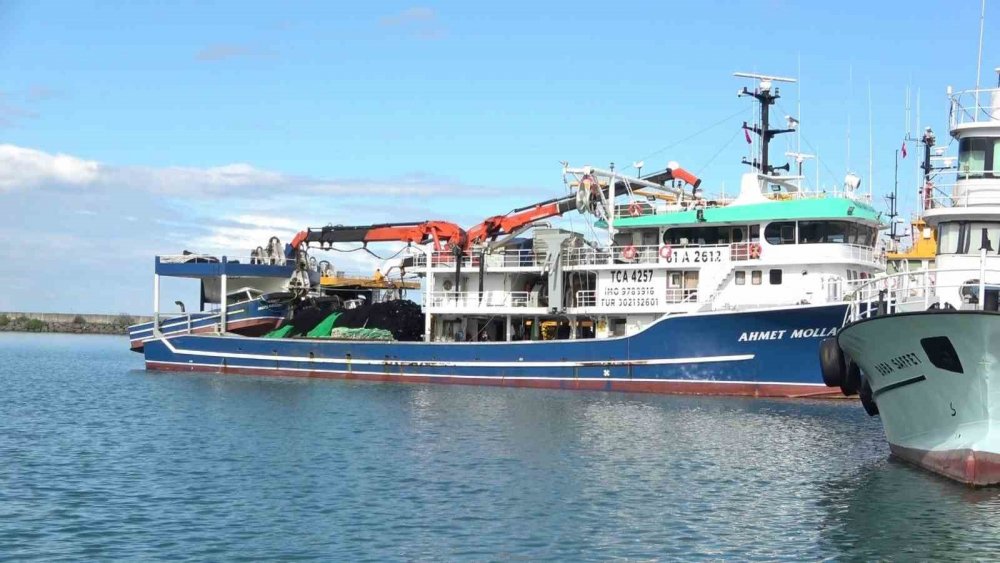 Deniz Sıcak Hamsi Zayıf: Balıkçıların Gözü 10 Kasım’da