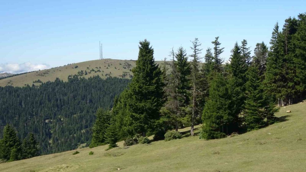 Doğu Karadeniz Bölgesinde Heyelan Alarmı