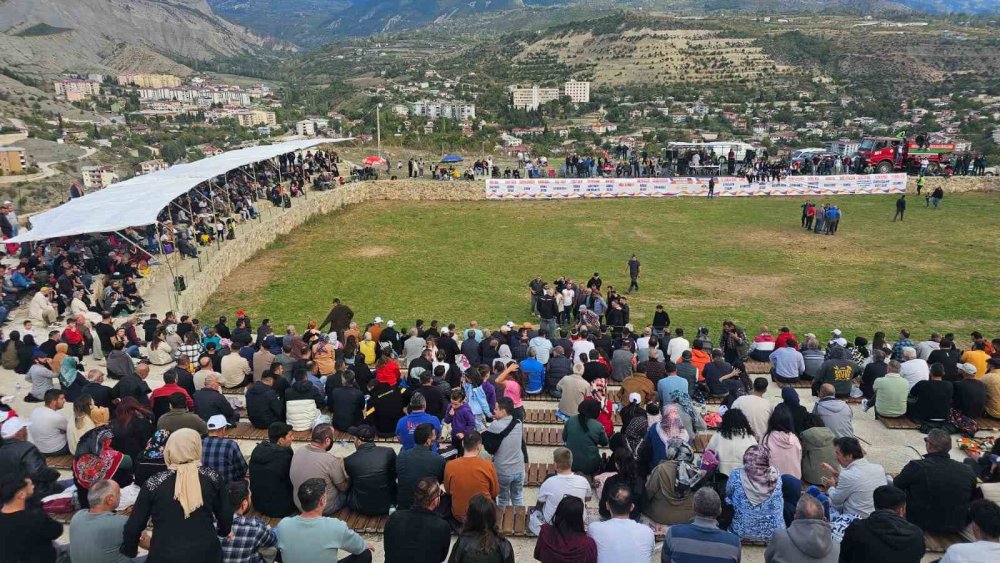 Şap Hastalığı Nedeniyle Ertelenen Ardanuç Boğa Güreşleri Festivali Sona Erdi