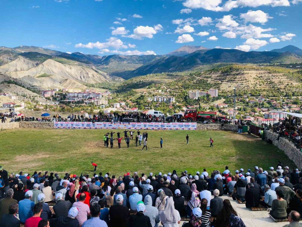 Şap Hastalığı Nedeniyle Ertelenen Ardanuç Boğa Güreşleri Festivali Sona Erdi