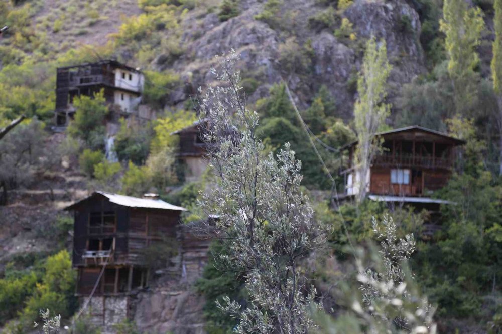 Artvin’de Tarih Kokan Köy