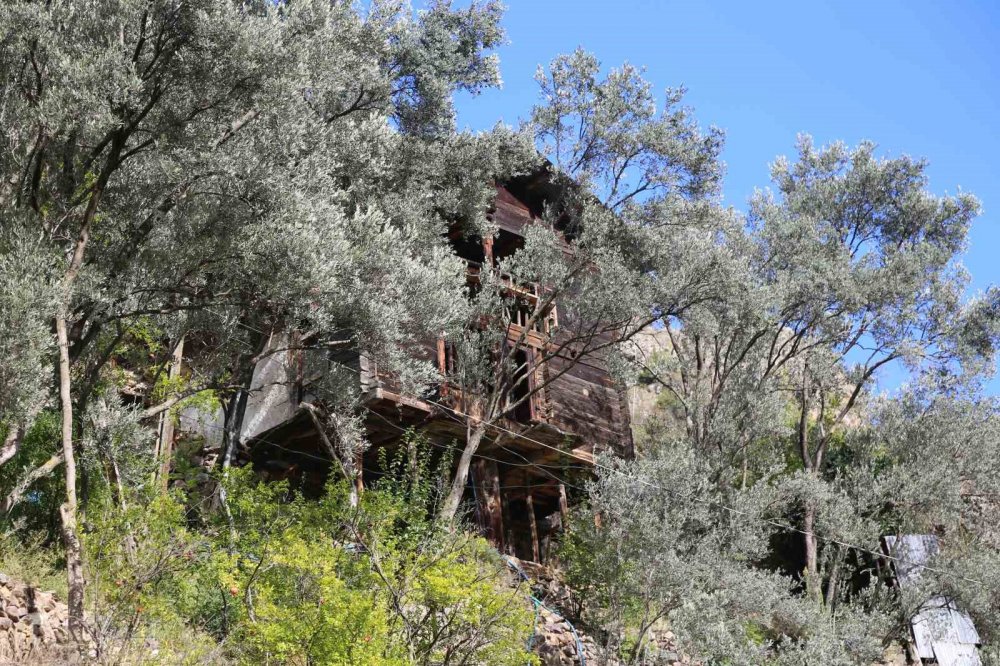 Artvin’de Tarih Kokan Köy