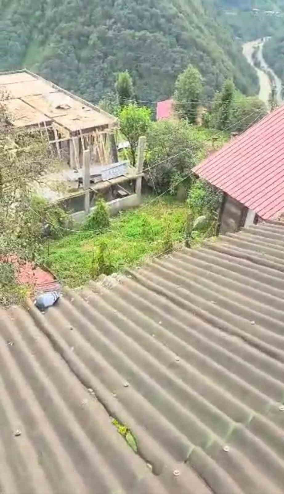 Rize’de Köy Sakininden Duyarlı Davranış: Çatıya Çıkıp Güvercini Kurtardı