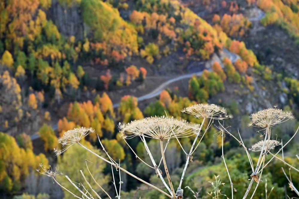 Gümüşhane’de 675 Yıllık Tarih Sonbahar Renkleriyle Buluştu