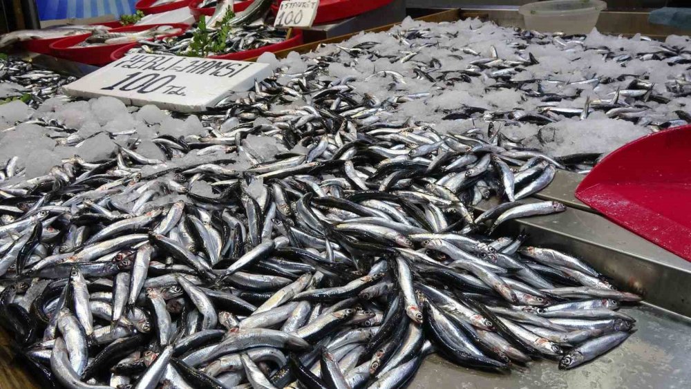 Hamside Tehlike Çanları Çalıyor