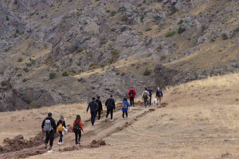 Doktorların Doğa Sevgisi