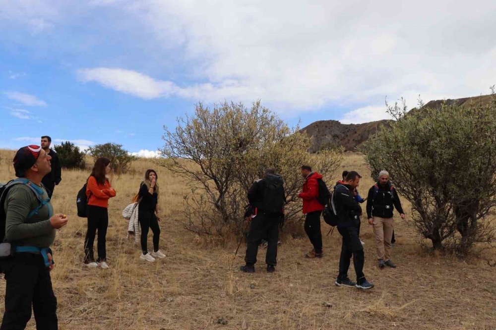 Doktorların Doğa Sevgisi