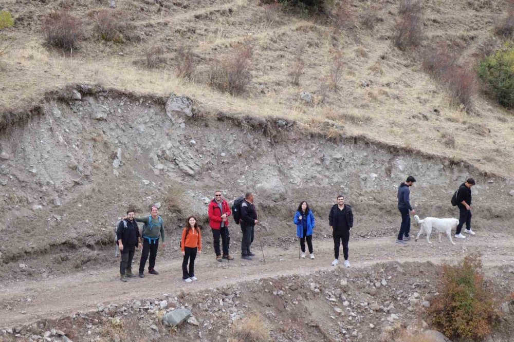 Doktorların Doğa Sevgisi