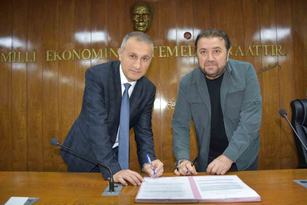 Ordu’da Maviyemiş Ve Aronya Üretim Alanı 180 Dekara Ulaşıyor